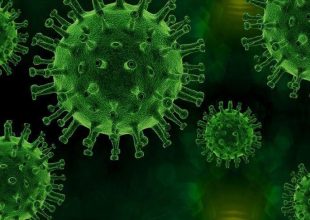 Virus corona là gì