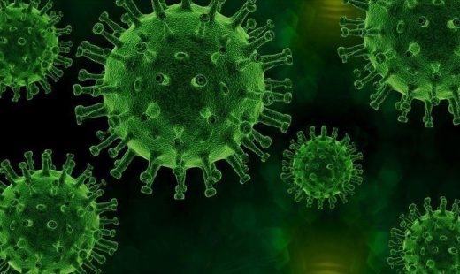 Virus corona là gì