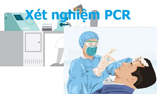 Xét nghiệm PCR